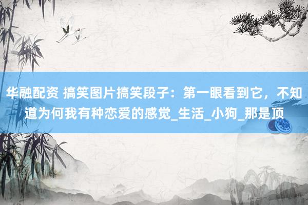 华融配资 搞笑图片搞笑段子：第一眼看到它，不知道为何我有种恋爱的感觉_生活_小狗_那是顶