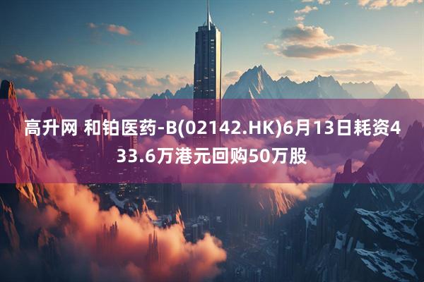 高升网 和铂医药-B(02142.HK)6月13日耗资433.6万港元回购50万股