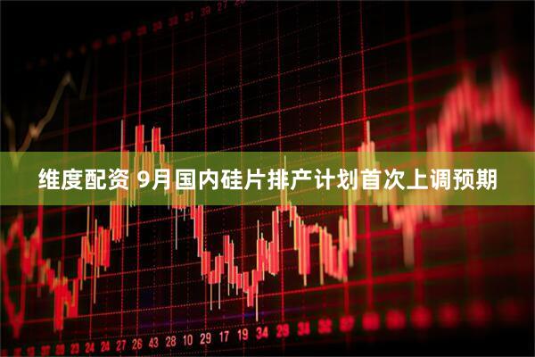维度配资 9月国内硅片排产计划首次上调预期