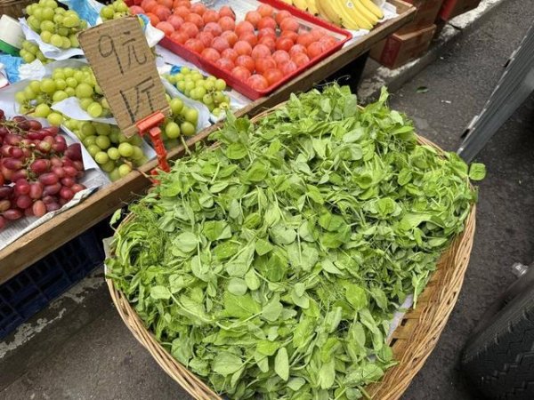 一鼎盈 冬季“顶流”蔬菜豌豆尖来了 成都商家：目前9元一斤尝鲜，大量上市后会降